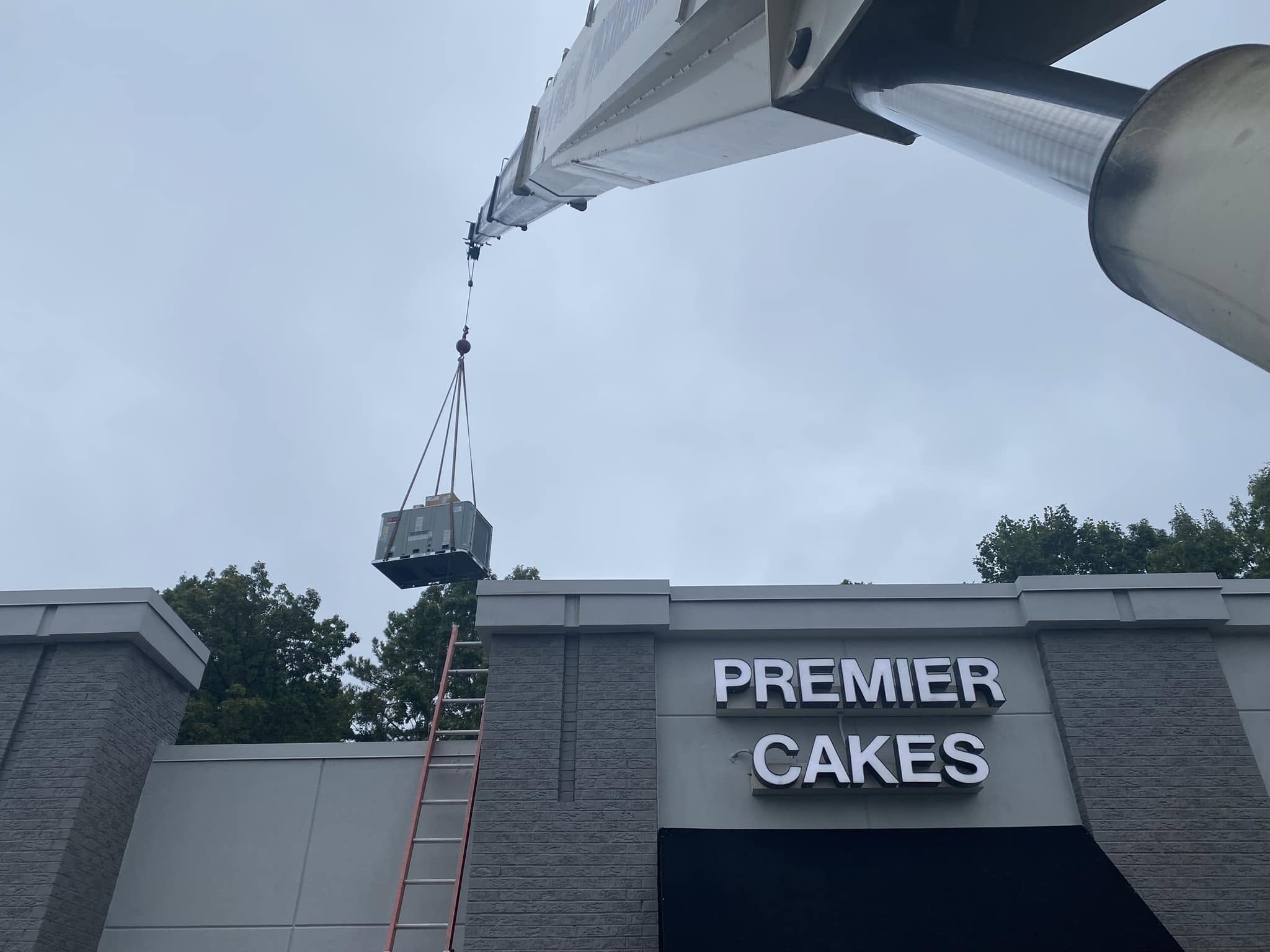 premier cakes