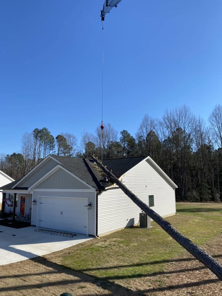 removing tree from house with a crane