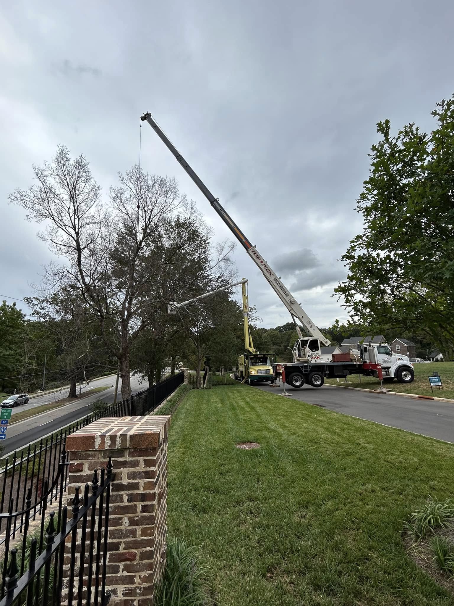 tree removal next to busy street